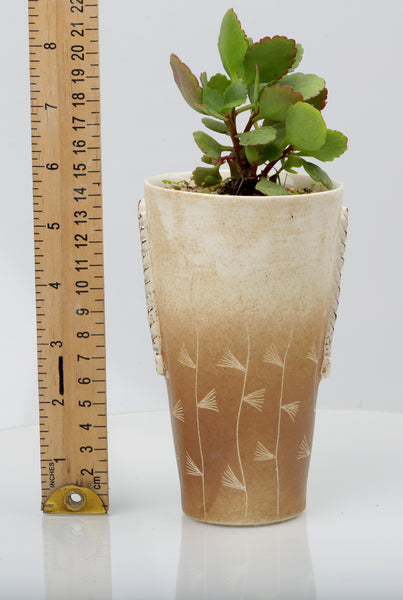 Vase : Fynbos brown : Succulent 3