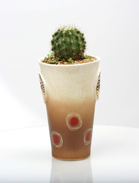 Vase : Scorching Sun : Succulent 1