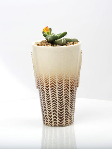 Vase :African Texture : Succulent 1