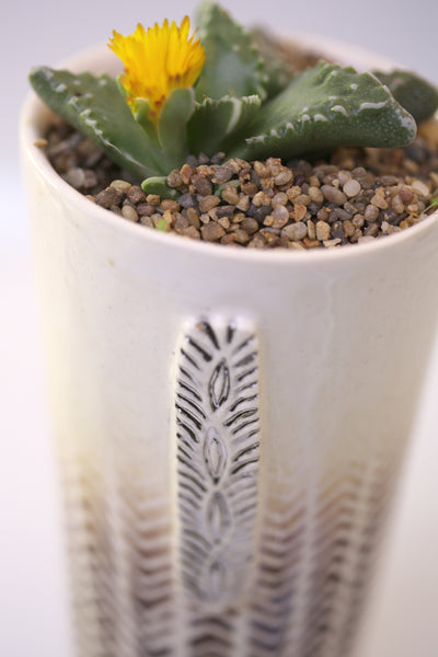 Vase :African Texture : Succulent 1