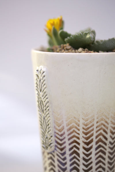 Vase :African Texture : Succulent 1