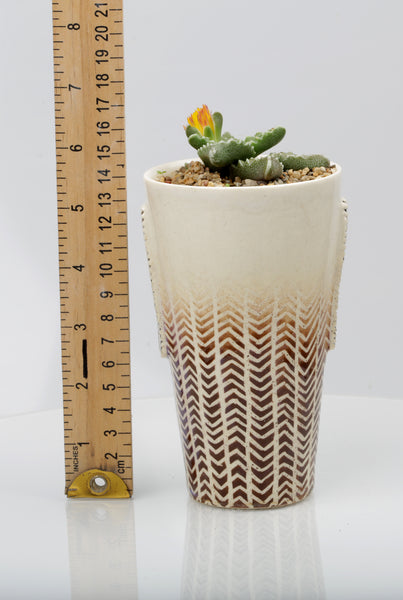 Vase :African Texture : Succulent 1