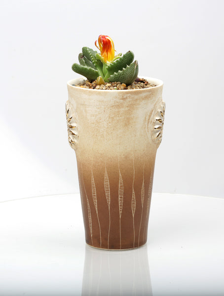Vase : Fynbos brown : Succulent 5