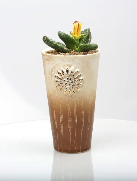 Vase : Fynbos brown : Succulent 5