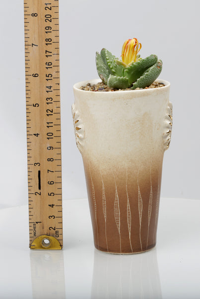 Vase : Fynbos brown : Succulent 5