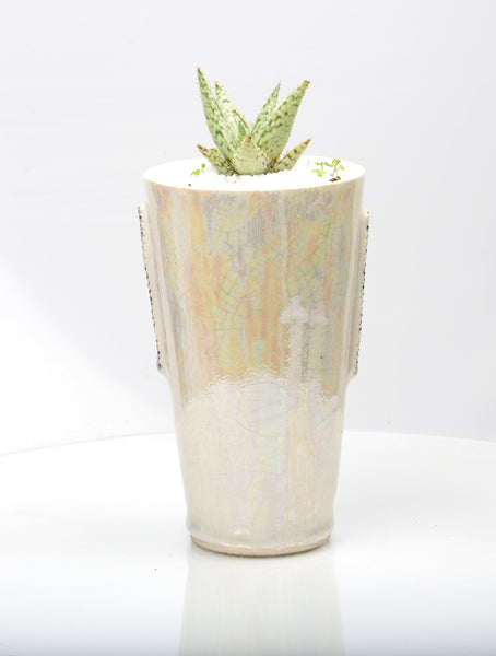 Vase : Mother of Pearl : Succulent 4