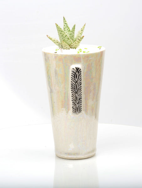 Vase : Mother of Pearl : Succulent 4