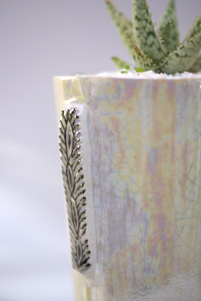 Vase : Crackle glaze : Succulent