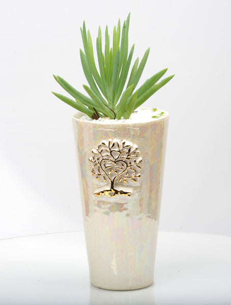 Vase : Mother of Pearl : Succulent 5