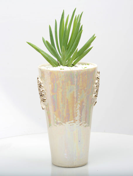 Vase : Mother of Pearl : Succulent 5