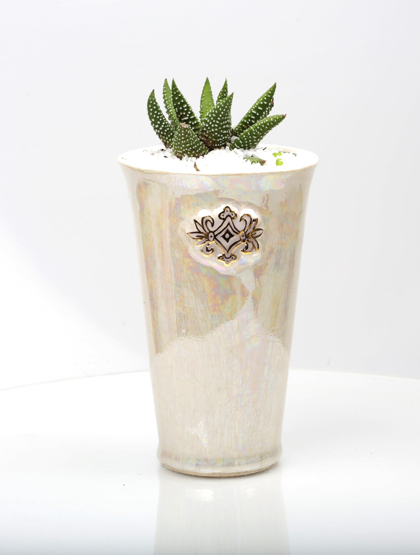 Vase : Mother of Pearl : Succulent 6