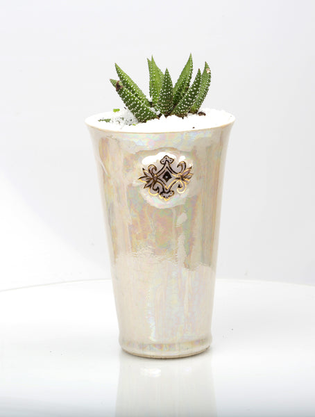 Vase : Mother of Pearl : Succulent 6