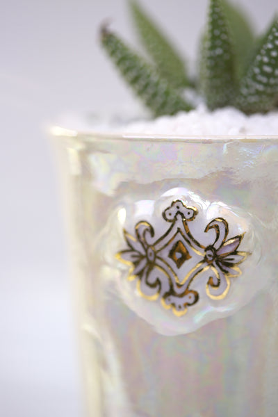 Vase : Mother of Pearl : Succulent 6