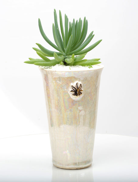 Vase : Mother of Pearl : Succulent 7