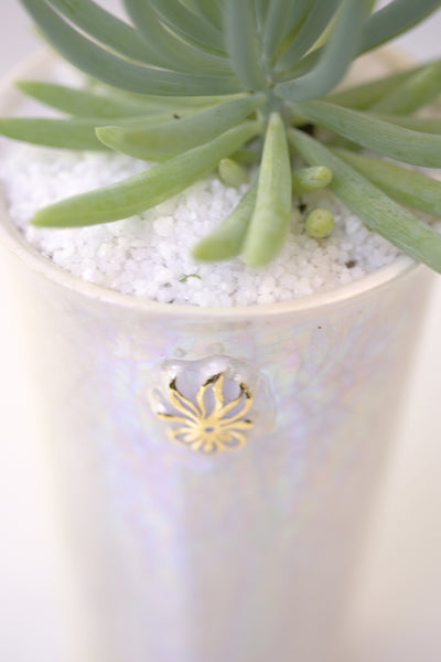 Vase : Mother of Pearl : Succulent 7