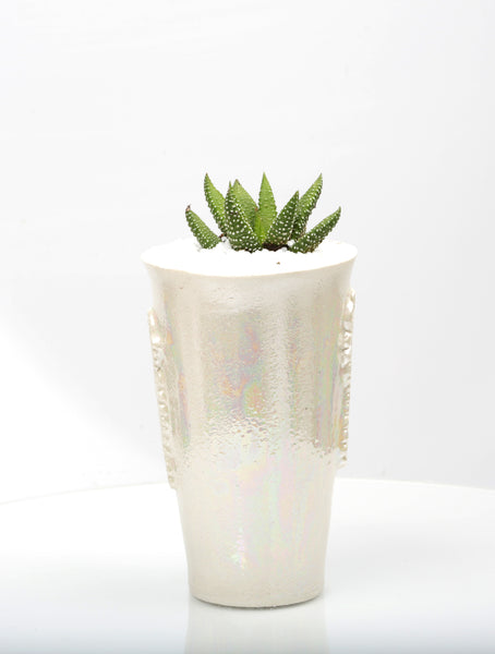 Vase : Mother of Pearl : Succulent 8