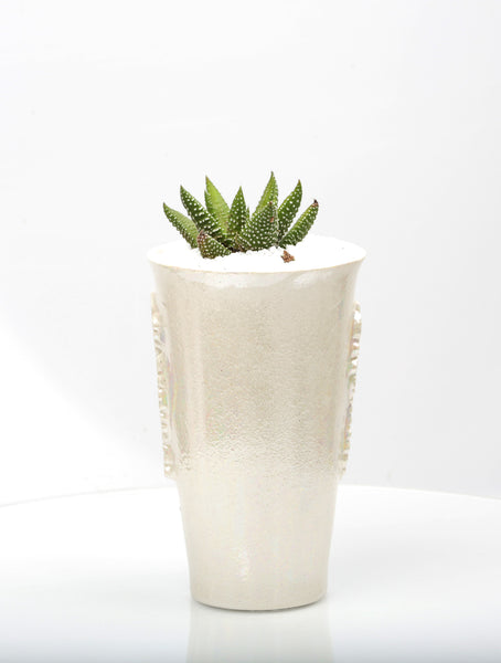 Vase : Mother of Pearl : Succulent 8