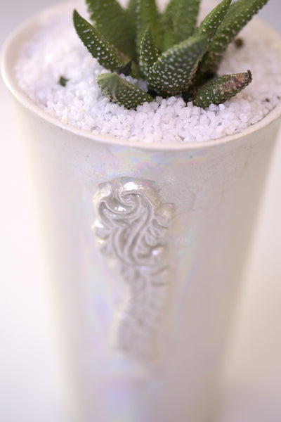 Vase : Mother of Pearl : Succulent 8