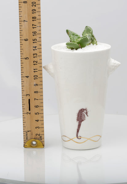 Vase : White with Seahorse theme : Succulent 2
