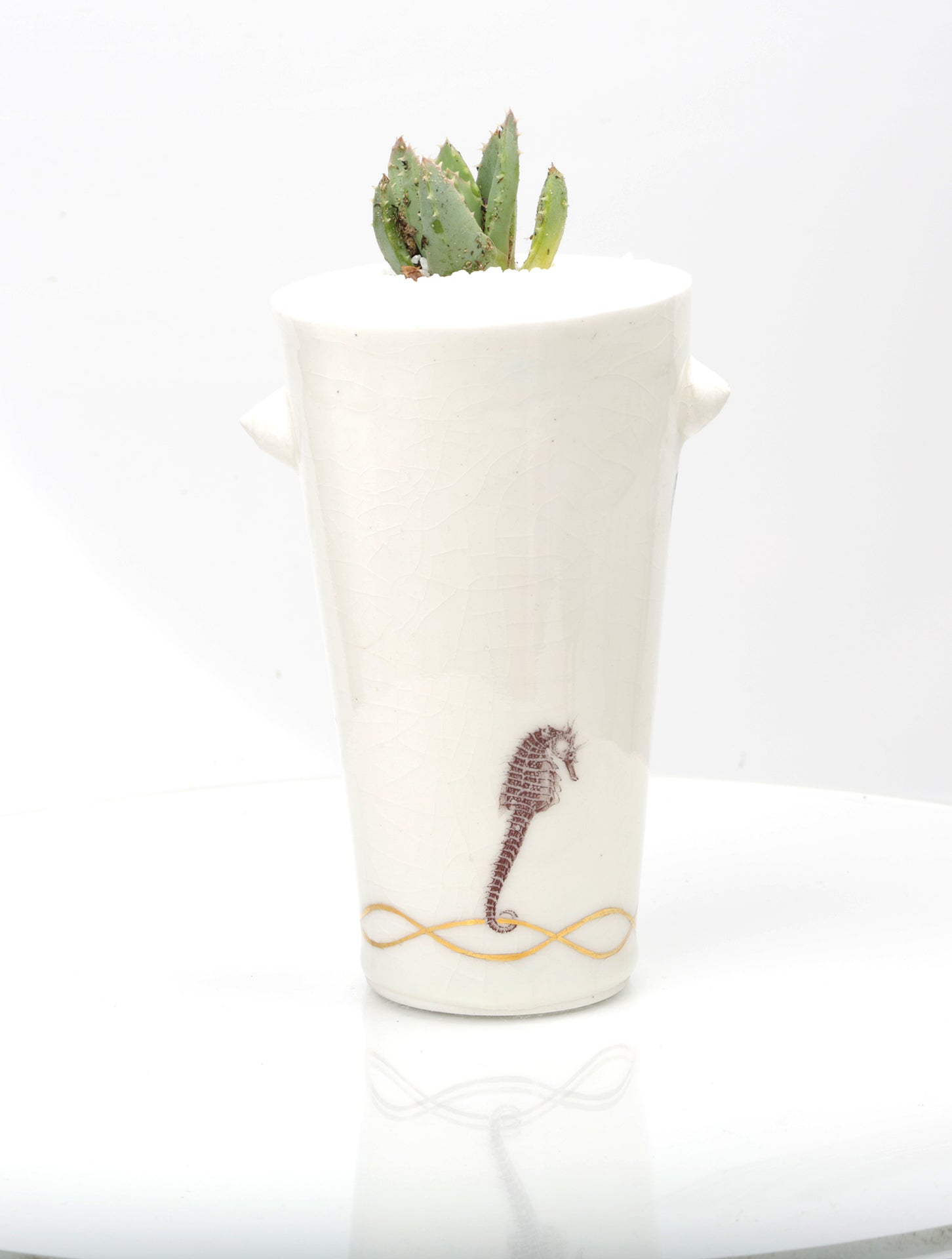 Vase : White with Seahorse theme : Succulent 3
