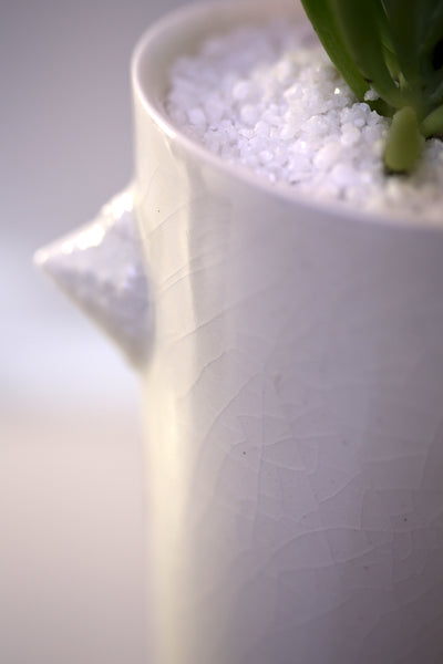 Vase : White with Seahorse theme : Succulent 5